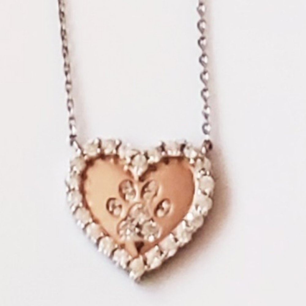 Rhinestone Animal Paw 🐾 Pendant Necklace Rose Goldtone + Silvertone Long Chain